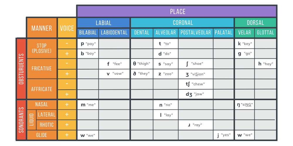 Chart illustrating different manners of articulation including stops, fricatives, nasals, and liquids